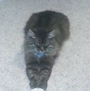 Meet your Posher, Glenda